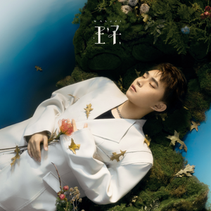 亚洲熟妇视频在线观看
